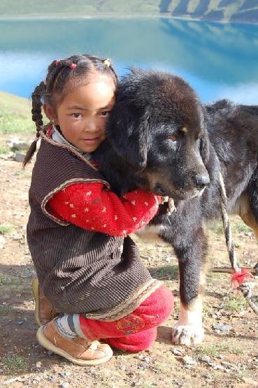 Do Khyi mit kleiner Tibeterin